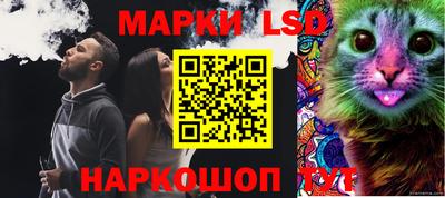 шишки Волжский