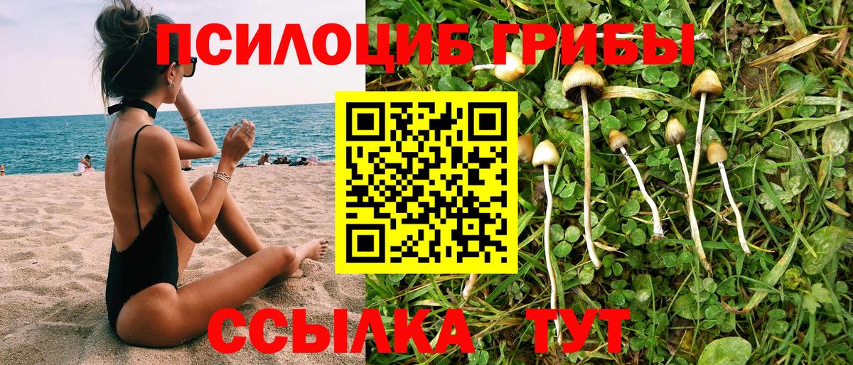 Галлюциногенные грибы MAGIC MUSHROOMS  Вход с VPN  Будённовск 